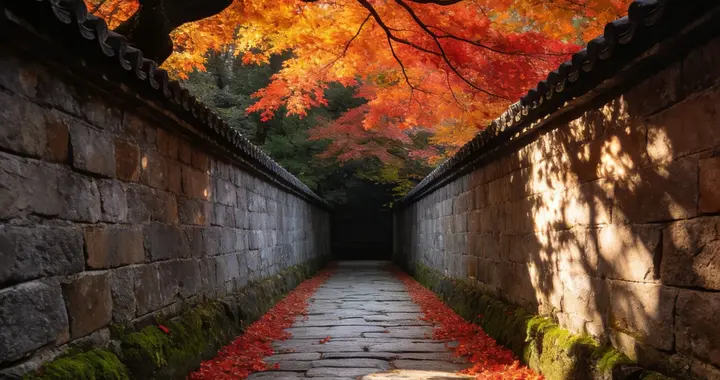 清襟拾韵｜今人28首七言绝句雅辑｜淡墨吟怀｜静写尘中心