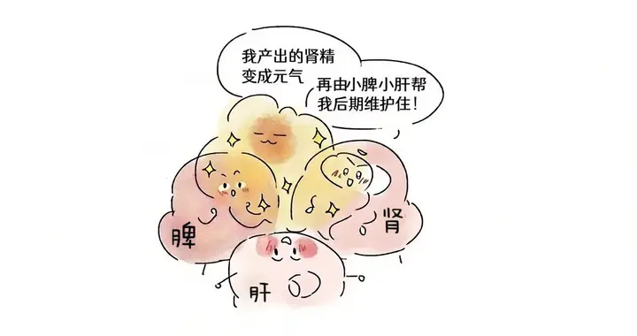 肾精被掏空，必见疲软不坚，一个中成药，让精血振奋！