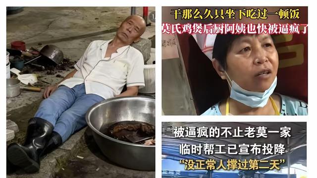 彩虹吃瓜娱乐：莫氏鸡煲的后厨阿姨说了实话