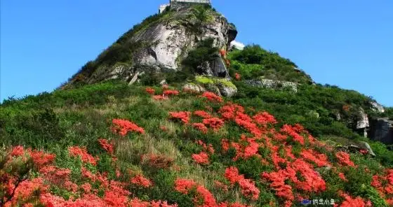 湖南 "黑马" 衡东：一不小心成全国瞩目焦点！