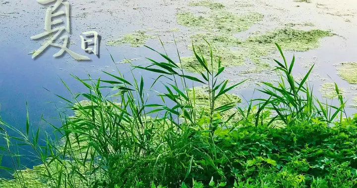 今天是“离日”，夏气与心气相通，切忌“蜡烛两头烧”，啥意思？