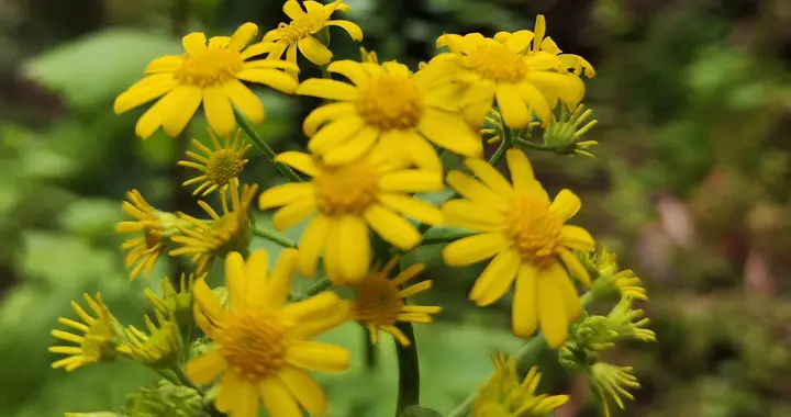 打破花盆，重新来过