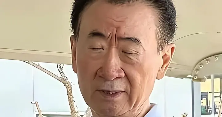 9年还了1000多亿，如今瘦成纸片人的王健林，还剩多少钱没还完？