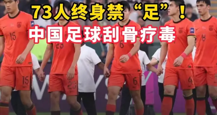 刮骨疗毒阵痛刺骨，断尾求生前路漫漫，涅槃重生是梦是真？