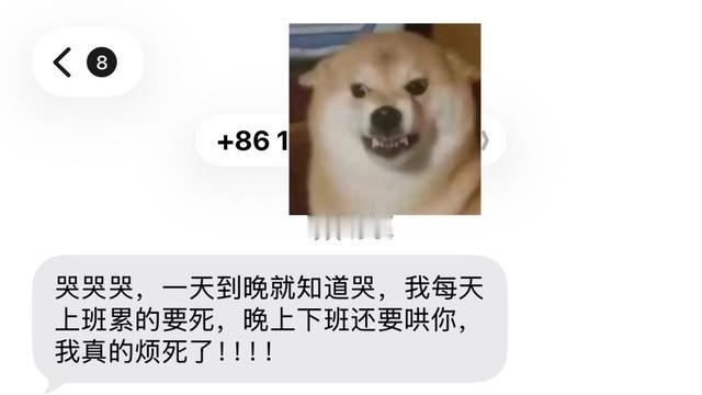 小鱼煲仔饭：不是哥们，你这不也是典型的窝