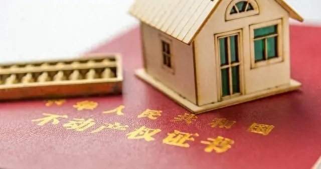 19 岁女孩捐肾救母，5 年后母亲的选择让全网争议