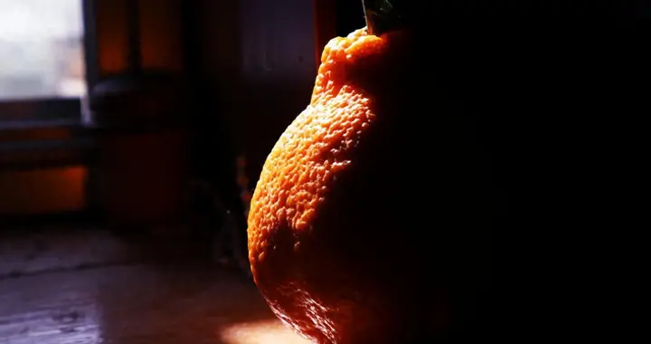 丑橘是转基因水果？专家直言：这几种水果，再便宜也不要买！