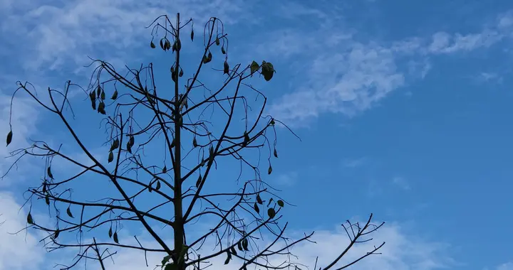 继消费降级后，今年又出现一个新名词：零负债人群。