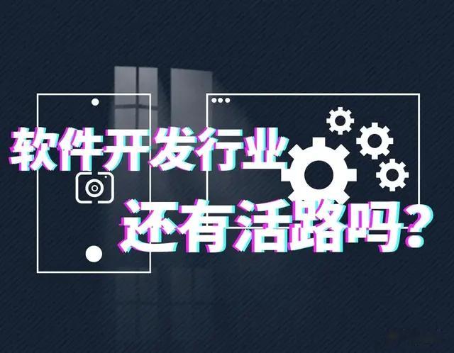 现在的软件开发公司还有活路吗？有，但还需要靠一定的运气和实力