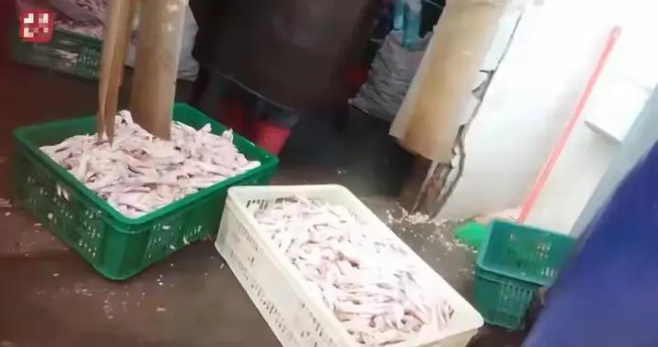 315漂白鸡爪刷屏：比黑心厂更揪心的，是基层监管跑不过隐患