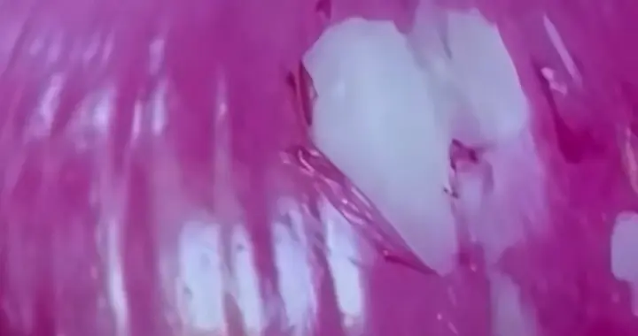 懂车帝洋葱测试到底是什么目的？