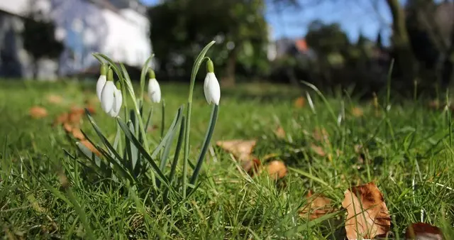 不是迷信！明日二月初四，最应该知道的5件事，告诉家人要知道