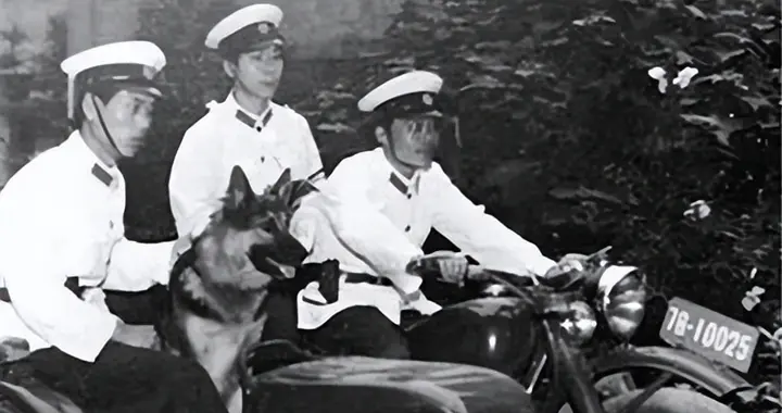 解密上海 代号 X间谍落网的背后，竟是始料未及的真相（二十一）