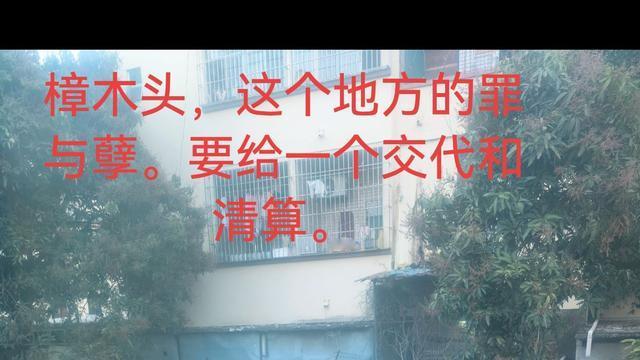 王哈哈看世界：东莞樟木头最近名声很大啊