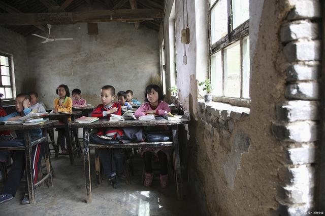 4岁女童命丧蜂群：留守儿童之痛与父亲的眼泪