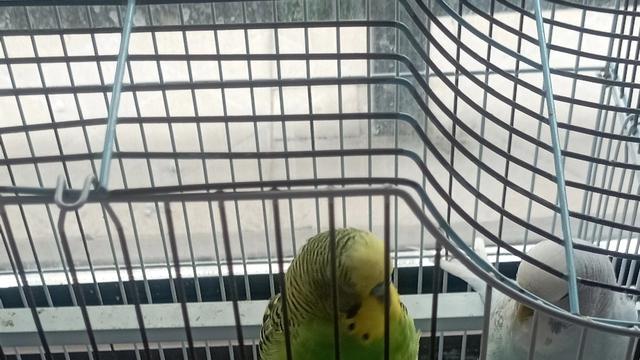 郜祥-以礼待人：每当