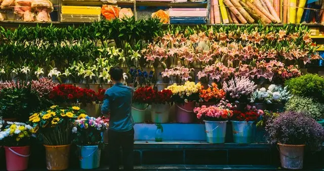 春节临近花卉市场热闹