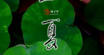 立夏：一笺清浅入夏来