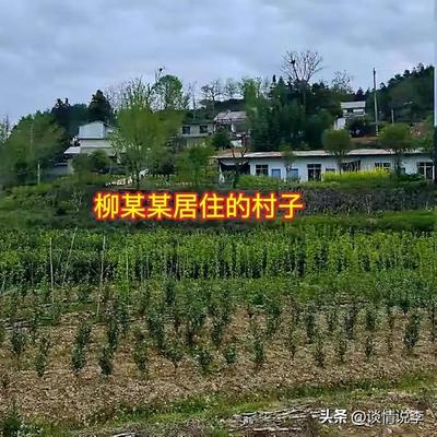 谈情说李：35岁柳某某的娘家位于柳畈村
