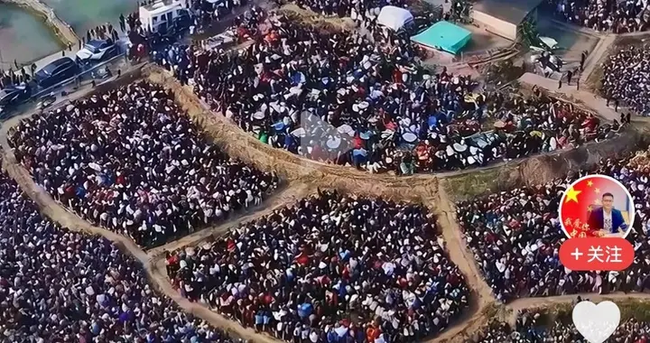 合川按猪最新：广告1分钟报价2400，网友：3天赚450万，呆呆回应