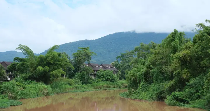 文明中国·看云南 ｜雨润曼龙勒：文明之花添新景