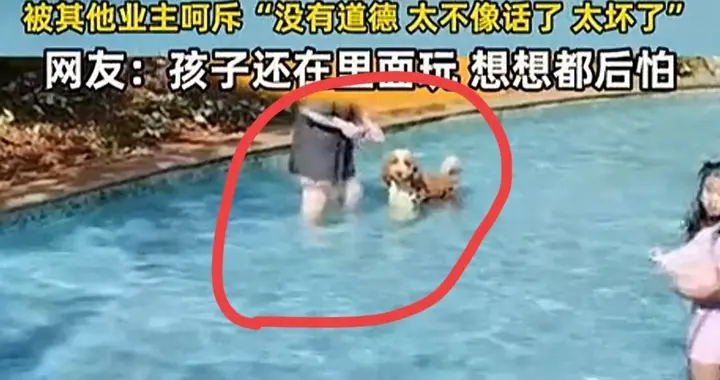 女子在游泳池给狗子洗澡后续，业主怒了，物业发声，女子或担责