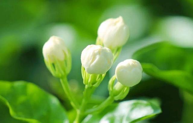 喜欢一个人，想知道对方喜不喜欢你，方法其实很简单