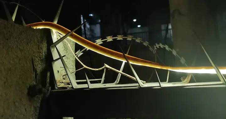 我不喜欢张雪峰，但我支持解禁他的账号