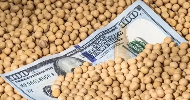 到手的肥肉飞了！巴西大豆疯狂溢价 中国反手砸130 万订单给阿根廷