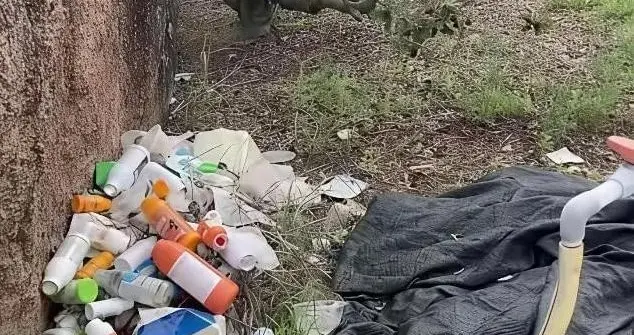 漳州23人被问责后，网友曝杨梅园出现大量药瓶，扬言果农并不无辜