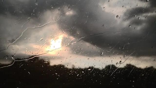 热心菠萝SaeIEvA：“阳光