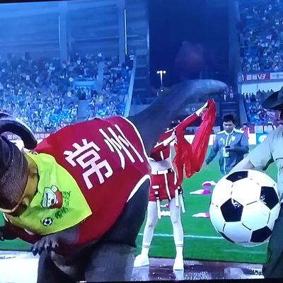 宁小豆：发现一个玄机，想赢球就得肯花钱