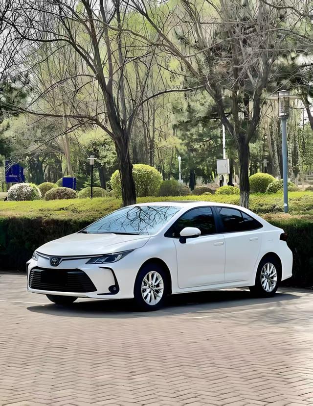 马路三大妈，丰田占了俩：实力那么强，动力为啥不行？