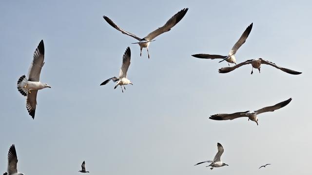 不爱钓鱼爱围观：台湾问题的关键在台湾，不
