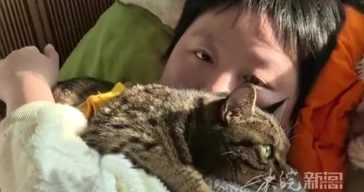 看哭！老人癌晚期，离世前将瘫痪养女送养老院，最放不下的就是她