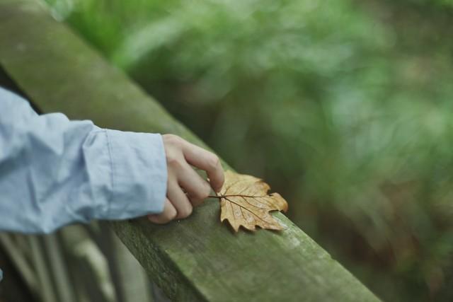 《我的后半生》：沈青出轨，婚姻破碎背后的人性与抉择