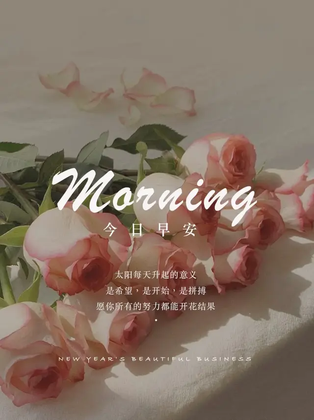 ²⁰²⁵/₀₅.₁₄早安!新日启程，愿你所行皆坦途，所遇皆美好~