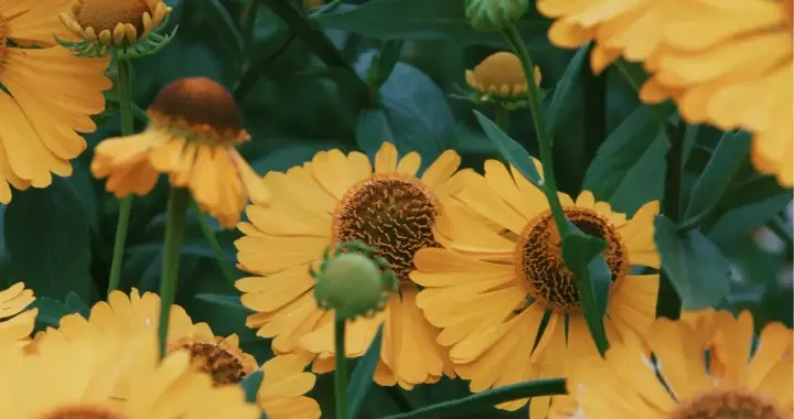 今日文案｜你的价值，不需要任何人来盖章