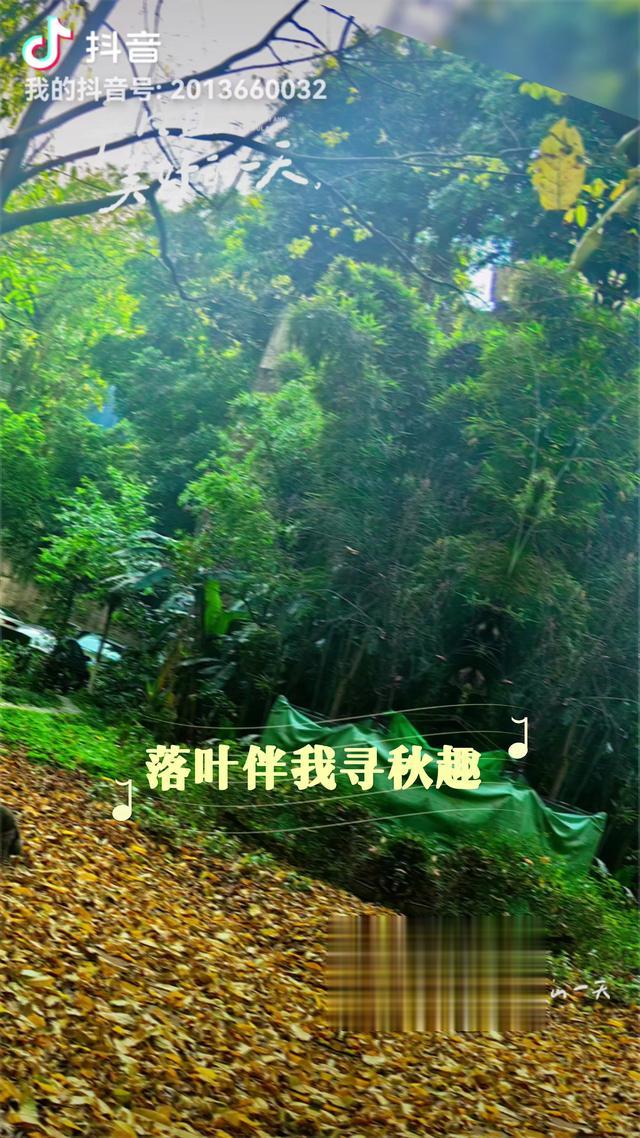 现代诗（原创）：《林泉的灵魂》