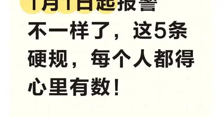 告别“报警折腾”时代！2026治安新法护航，维权有章可循