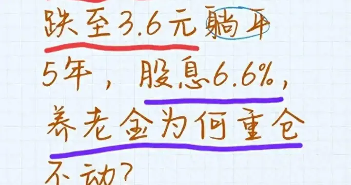 绿电龙头24元跌至3.6元躺平5年，股息6.6%，养老金为何重仓不动