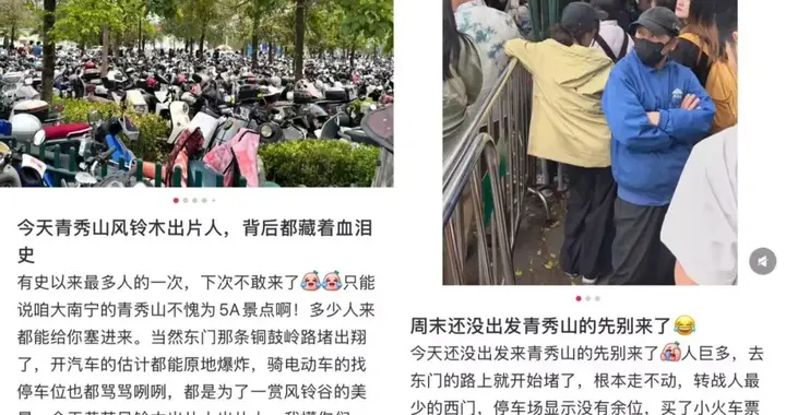一天挤进18万人，全南宁的人都去青秀山了！