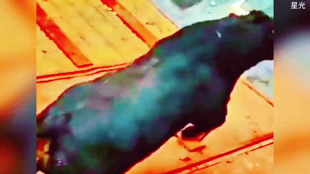 疯狂的牛老二为了寻找牛翠花竟从屋顶跳了下去摔断脊椎