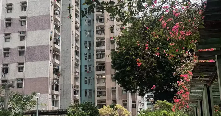 香港的老大难-挤迫的居住环境