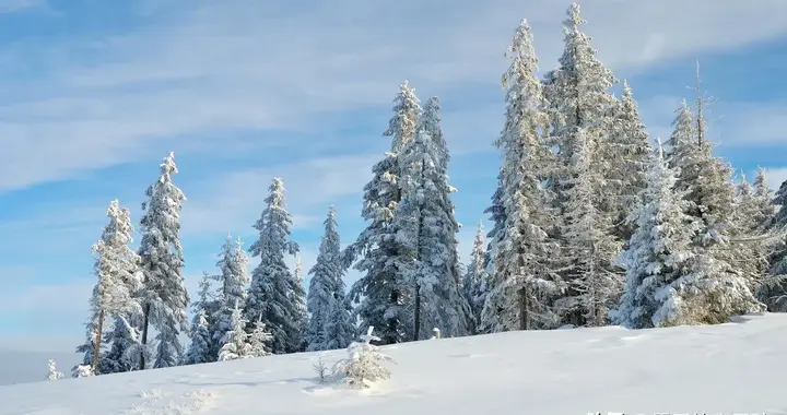 天冷了，照顾好自己（致我最在乎的人）