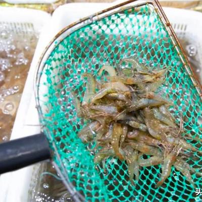 吉老六：离了个大谱 女儿从陕西支教假期回