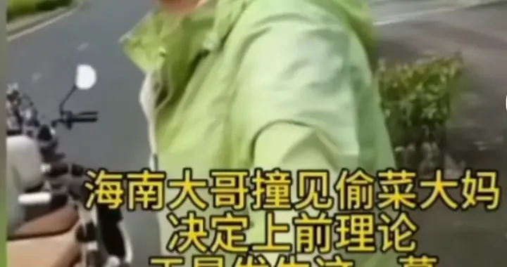 从偷菜到随地垃圾，春节海南的“游客病”该治治了