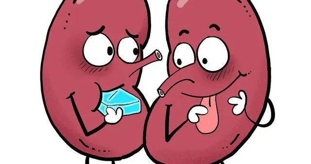 肌酐高可以降的下来吗？