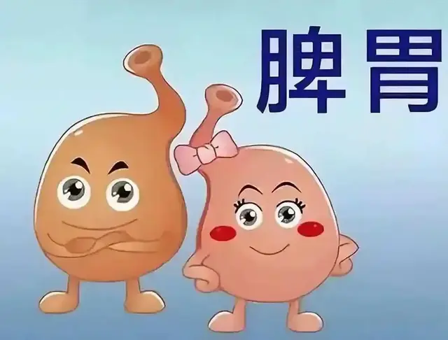 饭后煮一碗保和汤，孩子积食消、脾胃好，鼻炎、腺样体肥大自然好