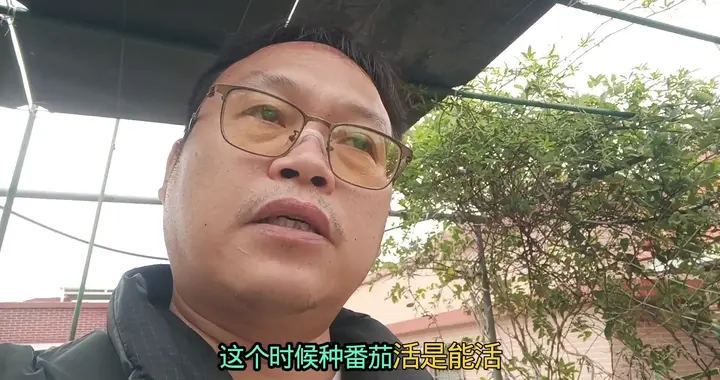 3月4月为什么不能种“番茄”？3大原因